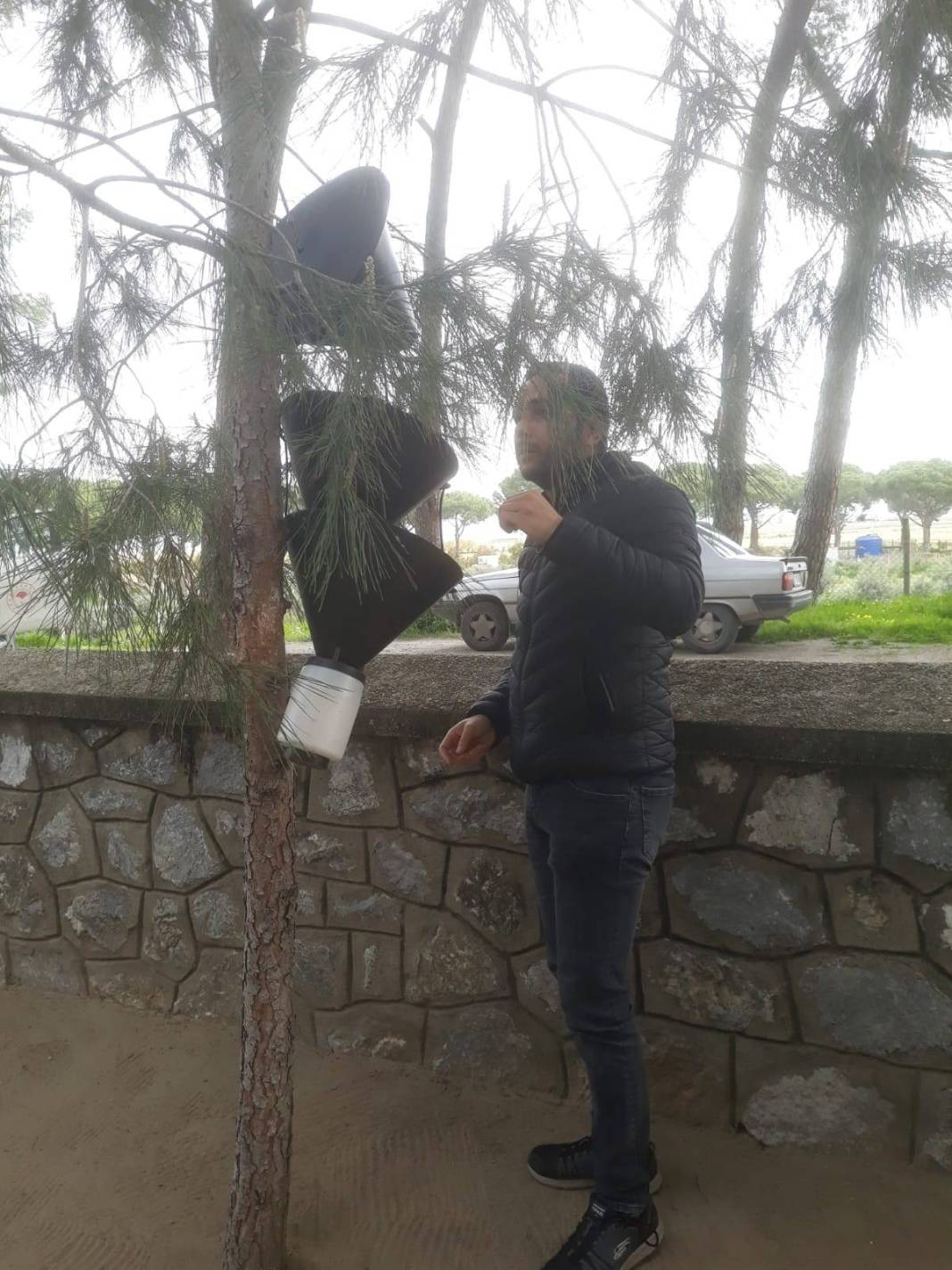 O kentte ağaçlara yerleştirilen cisimler endişelendirdi! Meğer önüne çıkan her şey yıkıp geçiyormuş 15